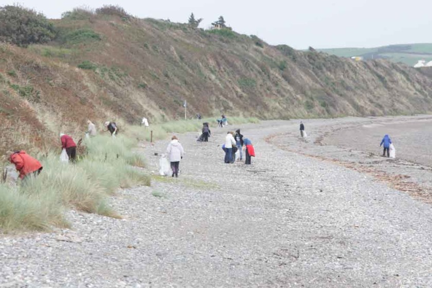 Beach Buddies volunteers working to keep the Island's beaches clean