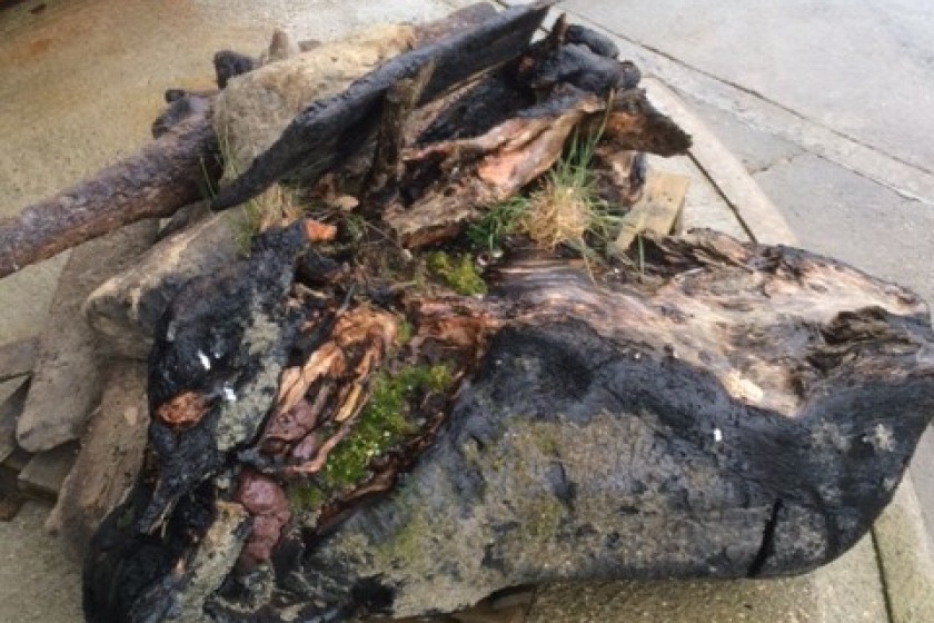 A large tree stump caused the latest blockage at the Energy from Waste Plant