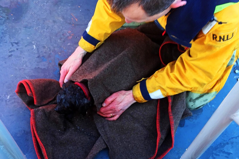 Douglas lifeboat crew rescued and dried the dog before returning them to their owner.