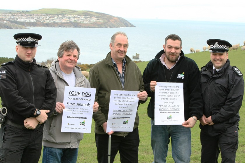 DEFA, the Manx National Farmers Union and the police are working together to protect livestock from dogs (photo courtesy of Bill Dale)