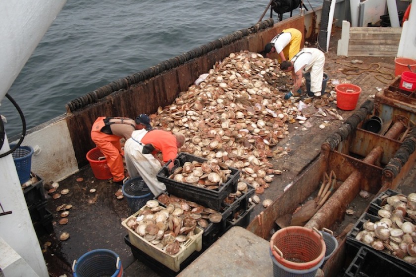 Picture from Seafood News
