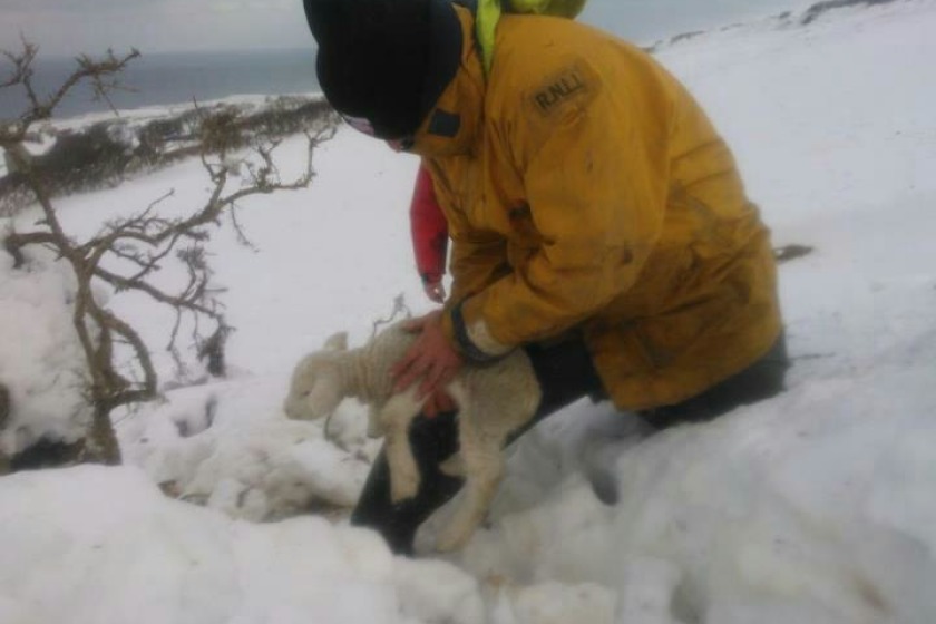 Paul Jones of Dalby recovering a lamb, photo taken by Alex Jones