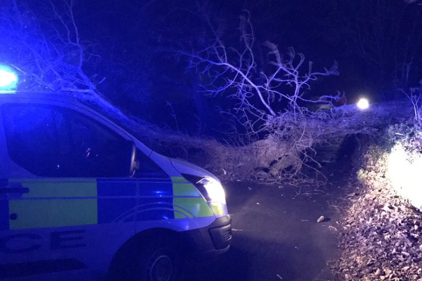 Mount Rule Road was one of a number of areas affected by falling trees overnight.